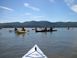 IMG 4987